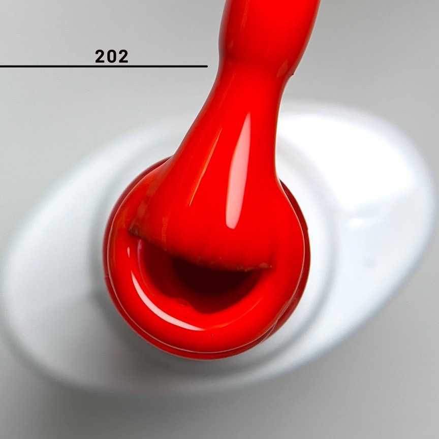 Color N202