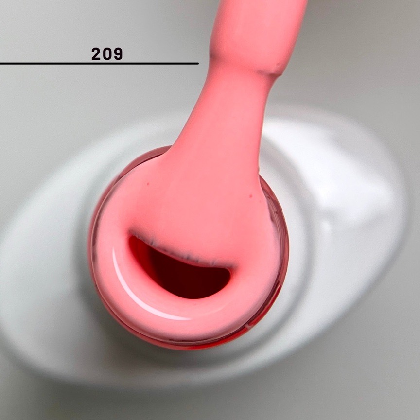Color N209